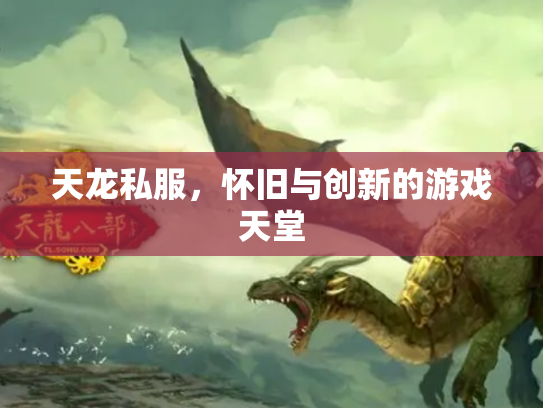 天龙私服，怀旧与创新的游戏天堂