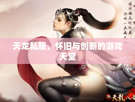 天龙私服，怀旧与创新的游戏天堂