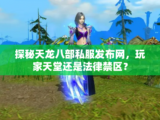探秘天龙八部私服发布网，玩家天堂还是法律禁区？