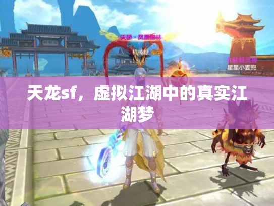 天龙sf，虚拟江湖中的真实江湖梦