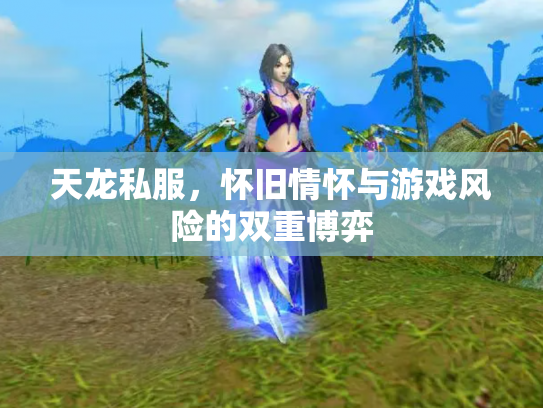 天龙私服，怀旧情怀与游戏风险的双重博弈