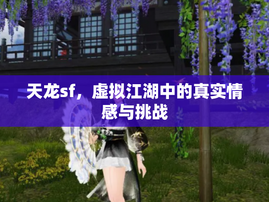 天龙sf，虚拟江湖中的真实情感与挑战