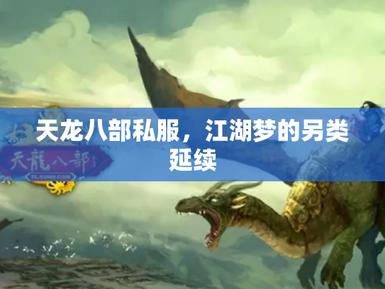天龙八部私服，江湖梦的另类延续