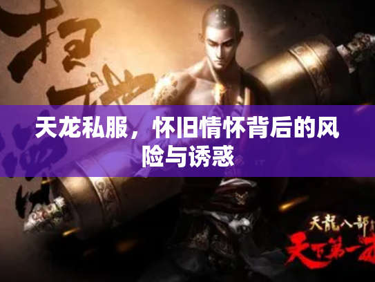 天龙私服，怀旧情怀背后的风险与诱惑