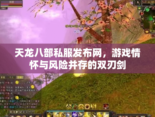 天龙八部私服发布网，游戏情怀与风险并存的双刃剑