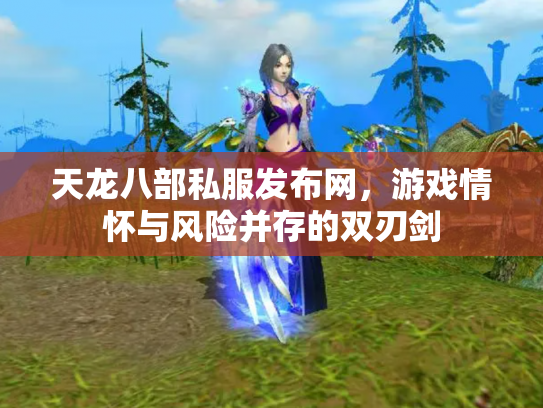 天龙八部私服发布网，游戏情怀与风险并存的双刃剑