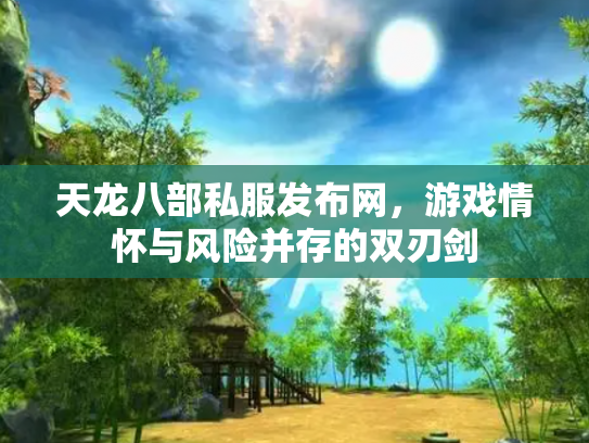 天龙八部私服发布网，游戏情怀与风险并存的双刃剑