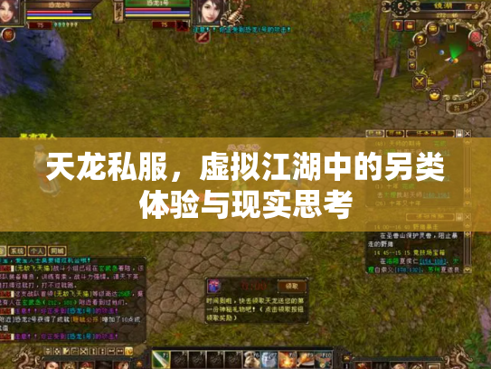 天龙私服，虚拟江湖中的另类体验与现实思考