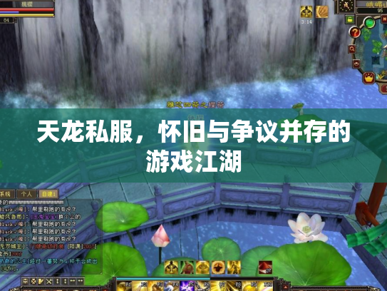 天龙私服，怀旧与争议并存的游戏江湖
