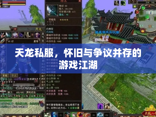 天龙私服，怀旧与争议并存的游戏江湖