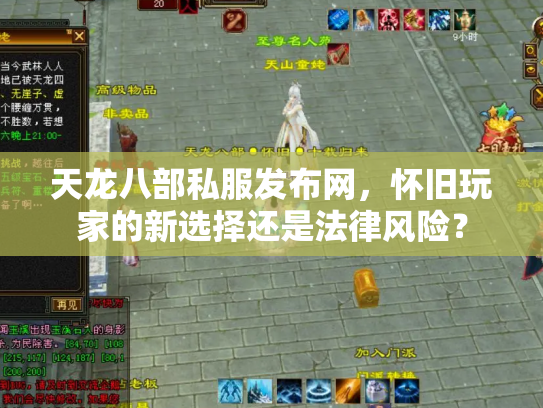 天龙八部私服发布网，怀旧玩家的新选择还是法律风险？