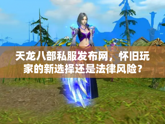 天龙八部私服发布网，怀旧玩家的新选择还是法律风险？