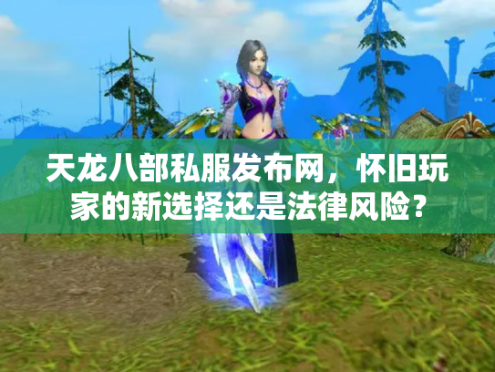 天龙八部私服发布网，怀旧玩家的新选择还是法律风险？