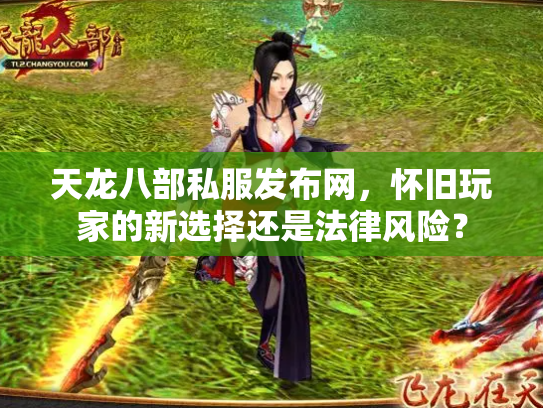 天龙八部私服发布网，怀旧玩家的新选择还是法律风险？