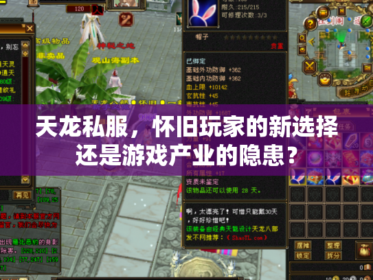 天龙私服，怀旧玩家的新选择还是游戏产业的隐患？