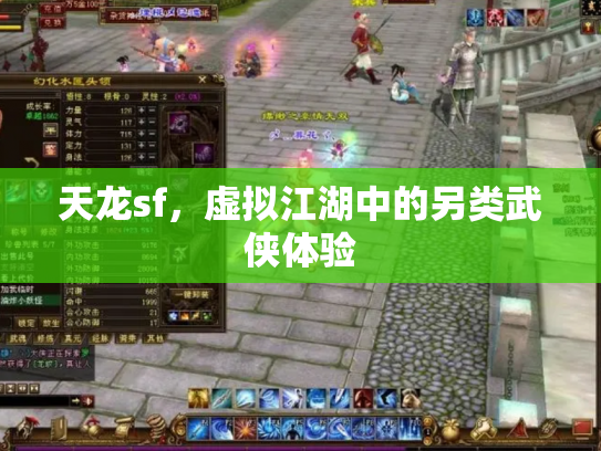 天龙sf，虚拟江湖中的另类武侠体验