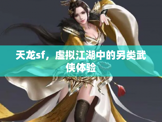 天龙sf，虚拟江湖中的另类武侠体验