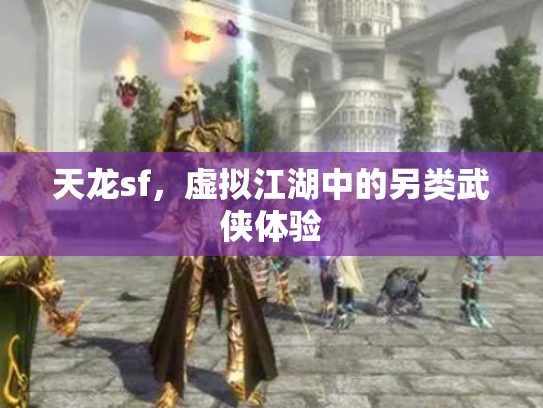天龙sf，虚拟江湖中的另类武侠体验