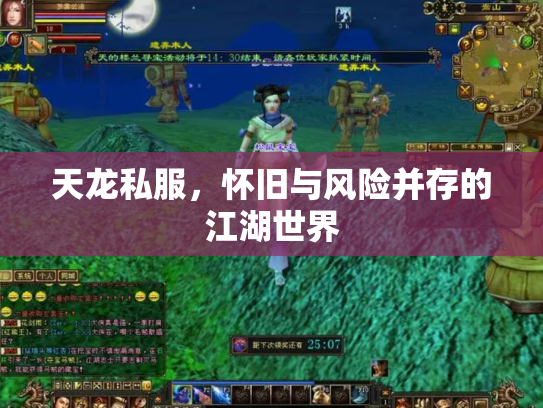 天龙私服，怀旧与风险并存的江湖世界