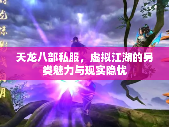 天龙八部私服，虚拟江湖的另类魅力与现实隐忧
