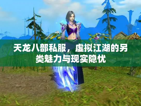 天龙八部私服，虚拟江湖的另类魅力与现实隐忧