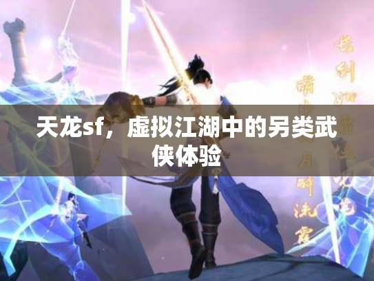 天龙sf，虚拟江湖中的另类武侠体验