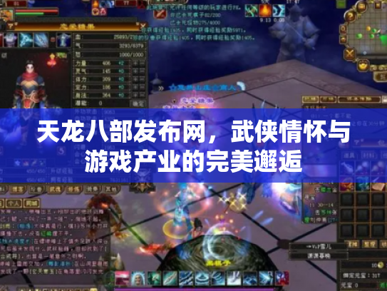 天龙八部发布网，武侠情怀与游戏产业的完美邂逅