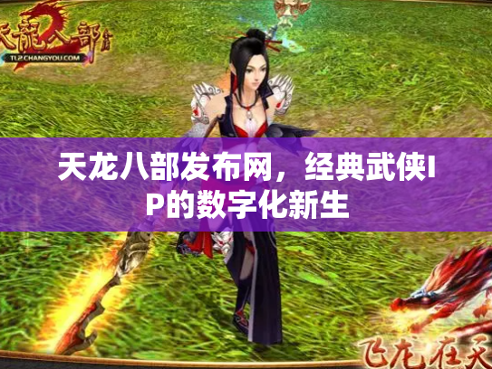 天龙八部发布网，经典武侠IP的数字化新生