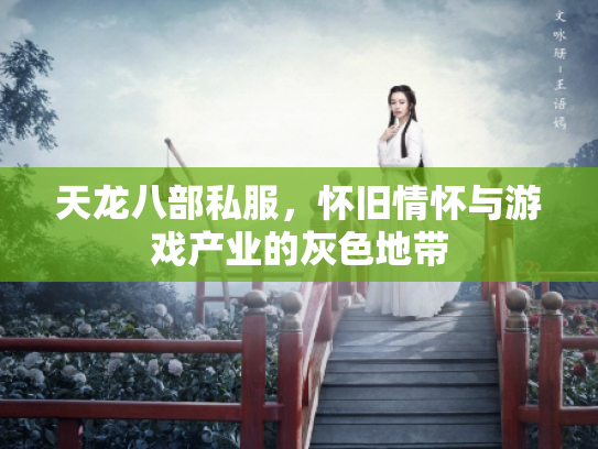 天龙八部私服，怀旧情怀与游戏产业的灰色地带