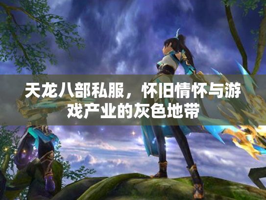 天龙八部私服，怀旧情怀与游戏产业的灰色地带
