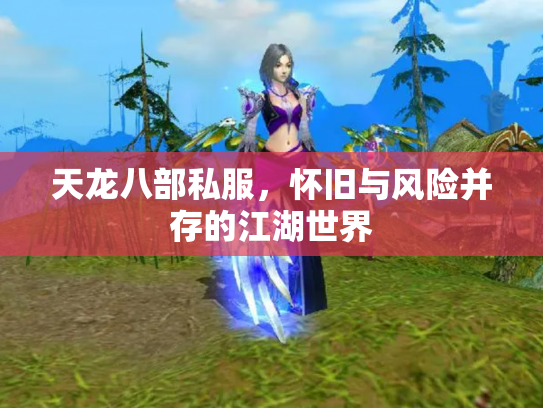 天龙八部私服，怀旧与风险并存的江湖世界
