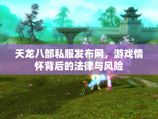 天龙八部私服发布网，游戏情怀背后的法律与风险