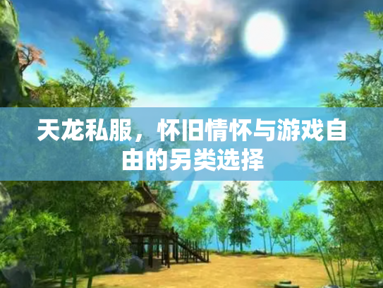 天龙私服，怀旧情怀与游戏自由的另类选择