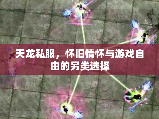 天龙私服，怀旧情怀与游戏自由的另类选择