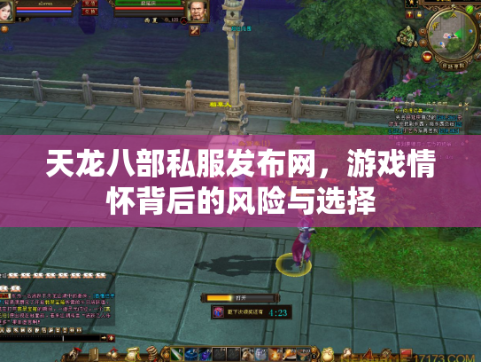 天龙八部私服发布网，游戏情怀背后的风险与选择