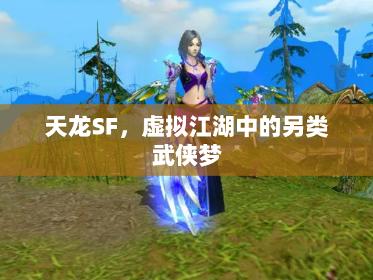 天龙SF，虚拟江湖中的另类武侠梦