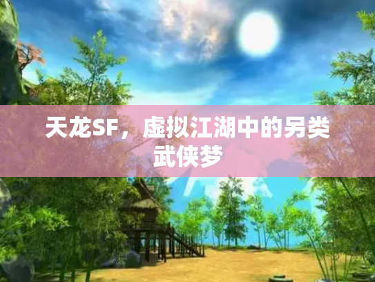天龙SF，虚拟江湖中的另类武侠梦