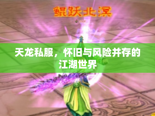 天龙私服，怀旧与风险并存的江湖世界