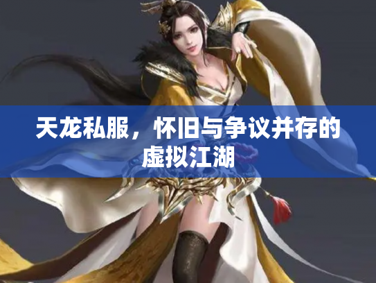 天龙私服，怀旧与争议并存的虚拟江湖
