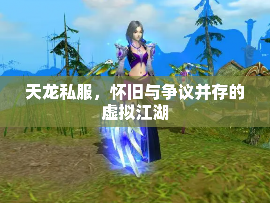 天龙私服，怀旧与争议并存的虚拟江湖