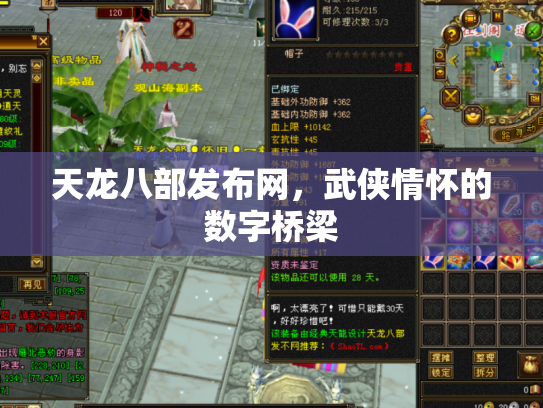 天龙八部发布网，武侠情怀的数字桥梁
