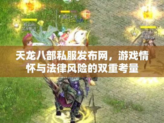 天龙八部私服发布网，游戏情怀与法律风险的双重考量