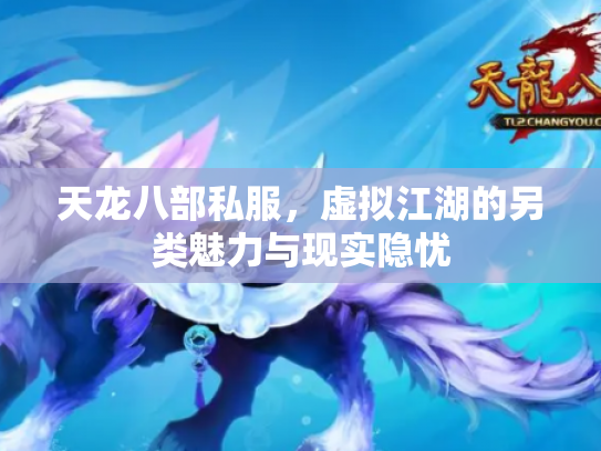 天龙八部私服，虚拟江湖的另类魅力与现实隐忧