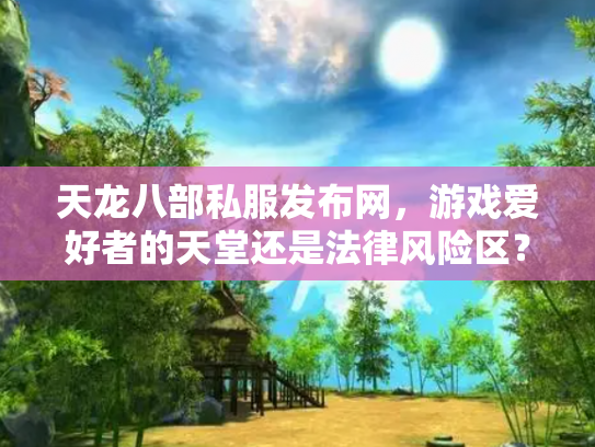 天龙八部私服发布网，游戏爱好者的天堂还是法律风险区？