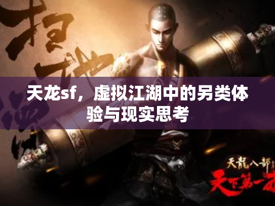 天龙sf，虚拟江湖中的另类体验与现实思考