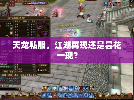 天龙私服，江湖再现还是昙花一现？
