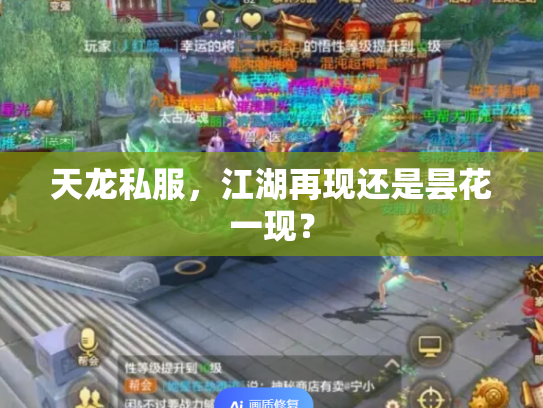 天龙私服，江湖再现还是昙花一现？