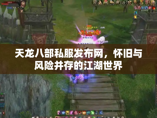 天龙八部私服发布网，怀旧与风险并存的江湖世界