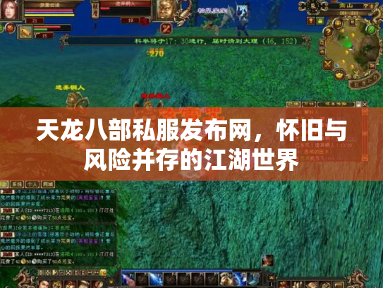 天龙八部私服发布网，怀旧与风险并存的江湖世界