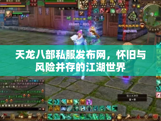 天龙八部私服发布网，怀旧与风险并存的江湖世界